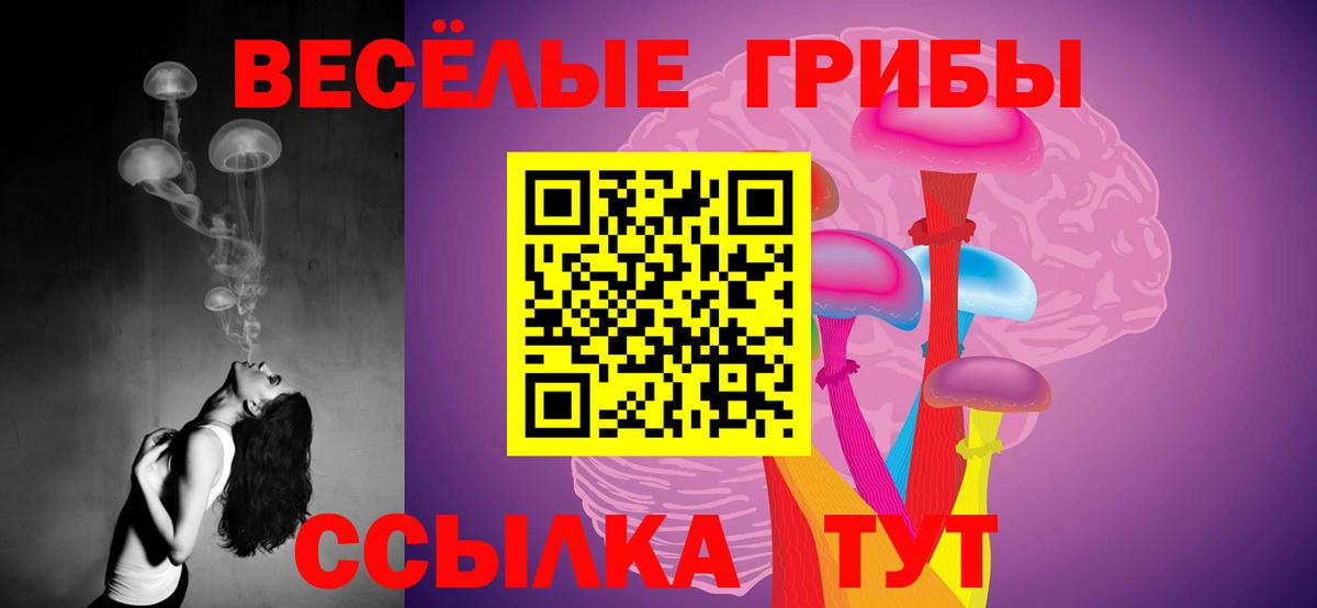 Псилоцибиновые грибы MAGIC MUSHROOMS  Вход с VPN  купить закладку  Нижневартовск 